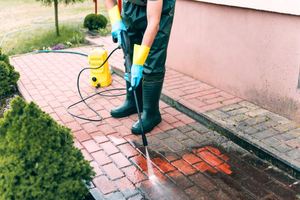 Best Solar Panel Cleaning  in Wolcottville, IN